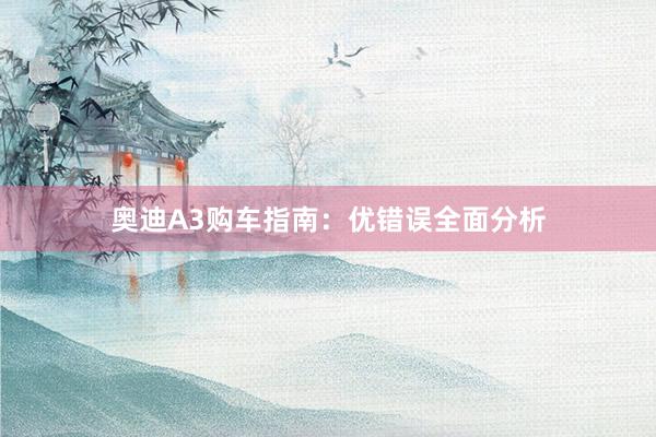 奥迪A3购车指南：优错误全面分析