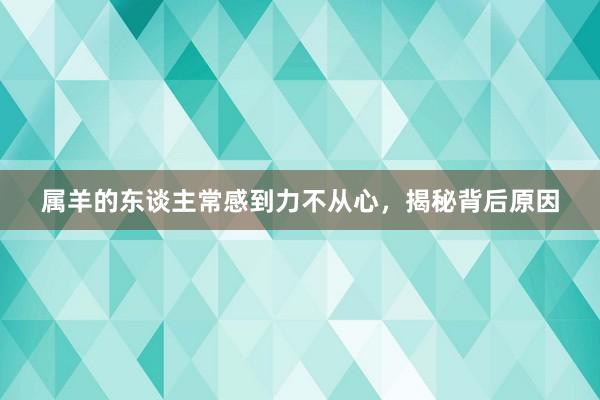 属羊的东谈主常感到力不从心，揭秘背后原因